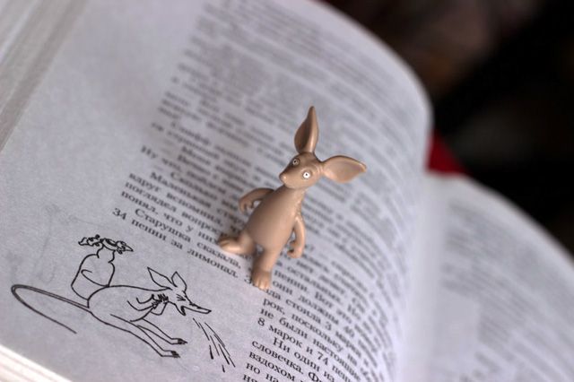 Радость-радость