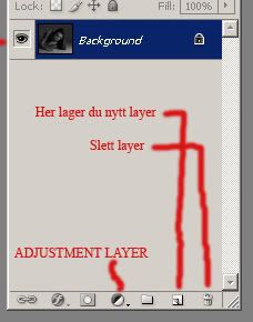 adjustmentlayer.jpg