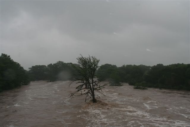 Frio River Flood