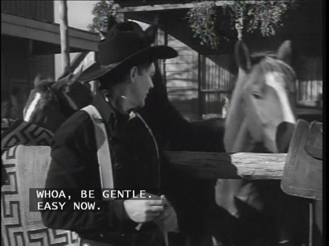 WagonMaster-7.jpg?t=1283658381