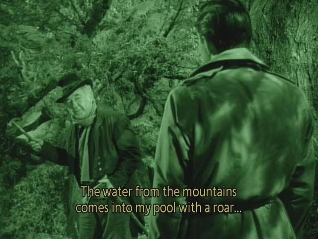 LuckOfTheIrish02.jpg?t=1221703040