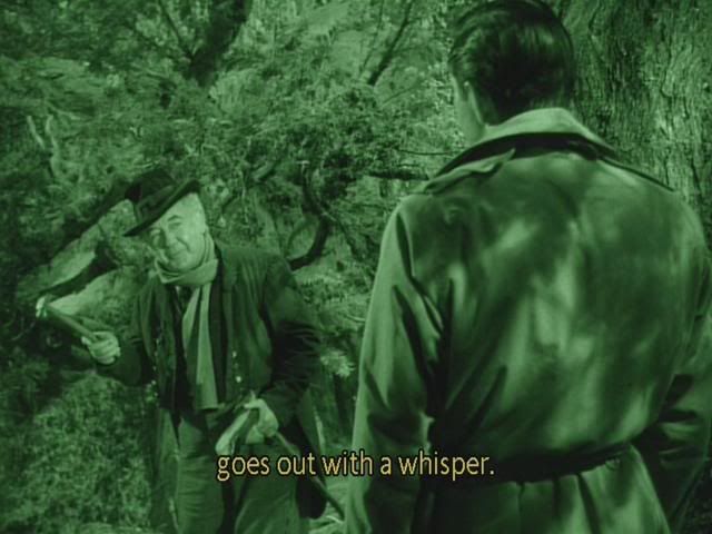 LuckOfTheIrish03.jpg?t=1221703071