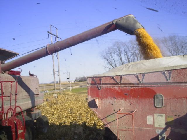 harvest08008.jpg