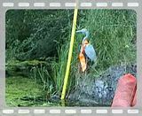 bd_web.mp4 video by sixpackpert