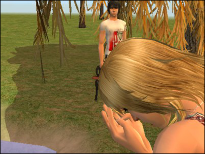 Bild11.png