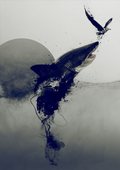Shark Ink Gull