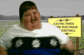 fat boy - electrocuted Pictures, Images and Photos