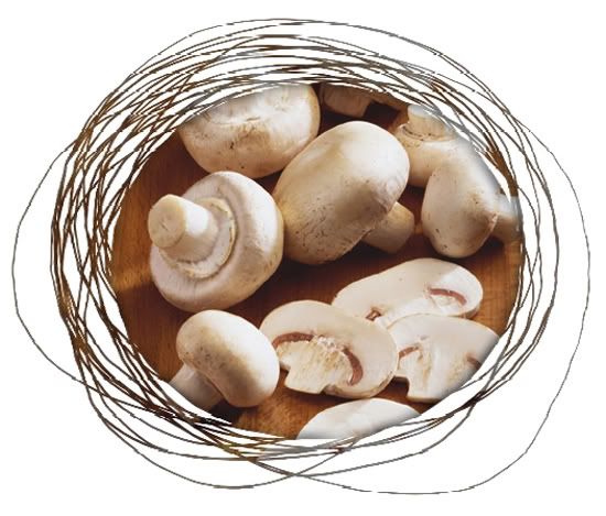 Mushrooms may help prevent breast cancer