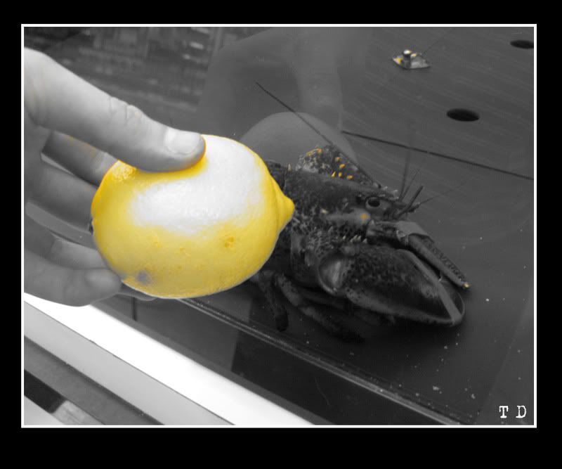 IMAGE: http://i41.photobucket.com/albums/e256/blinddemonz/My%20Digital%20Camera/lemonlobster.jpg