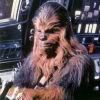 Chewbacca icon Pictures, Images and Photos