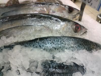 peixe fresco