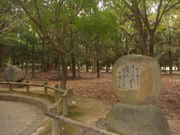 floresta mal assombrada