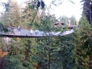 capilano suspension bridge