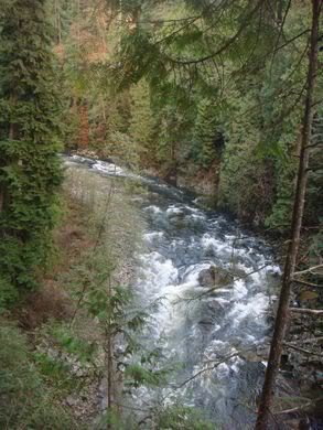 stream under capilano bridge rio sob a ponte capilano
