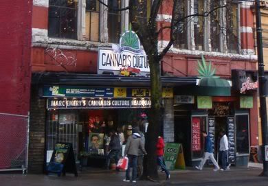 loja da maconha
