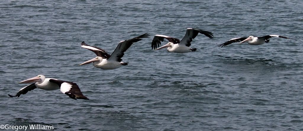 IMAGE: http://i41.photobucket.com/albums/e260/Gwind/stockton146-2-2.jpg