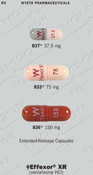 250 Mg Of Amoxicillin For Feline Benzoylecgonine And Amoxicillin