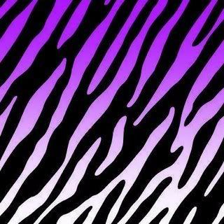 Purple Zebra Graphics Pictures  Images For Myspace Layouts
