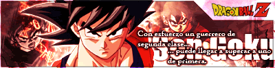 Imagen Enviada