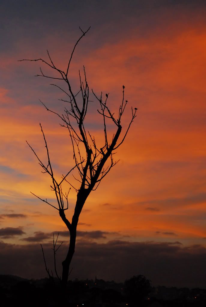 Đà Lạt có bao nhiêu anh em 5s - 1
