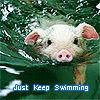 just keep swimming Pictures, Images and Photos
