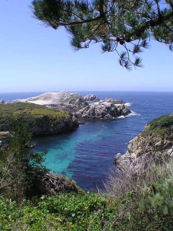 China Cove, Point Lobos State Park CA