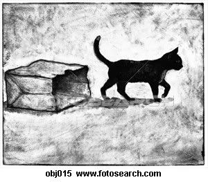 cat-out-bag_OBJ015.jpg