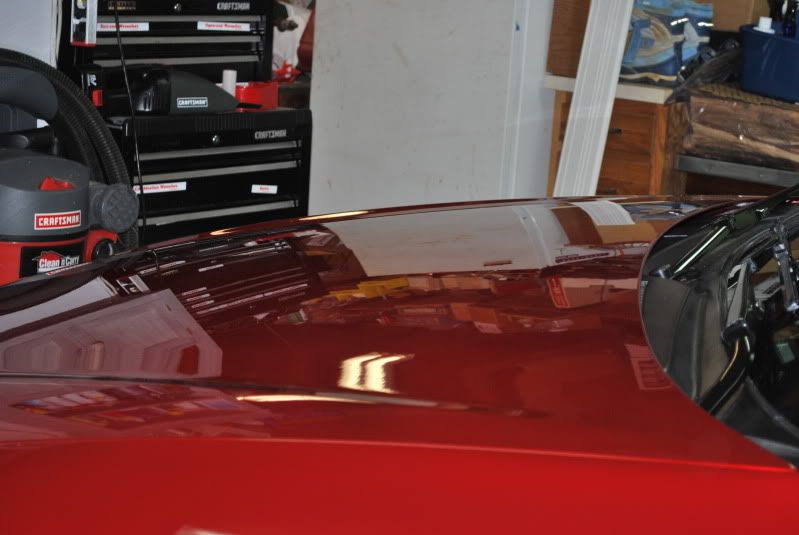DSC_0010.jpg