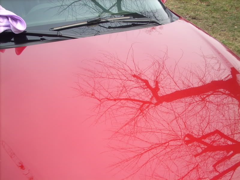 DSCN1753.jpg