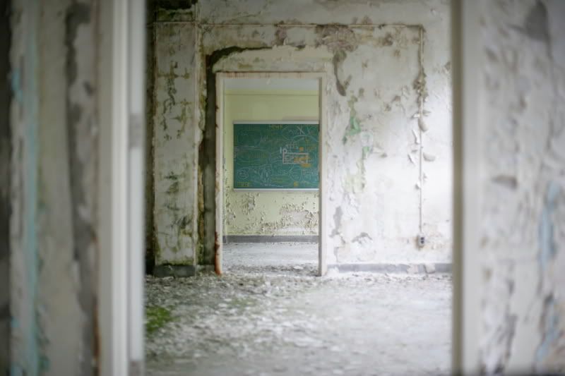 IMAGE: http://i41.photobucket.com/albums/e266/Zenandtheartofpics/UE/VA0Y0254.jpg