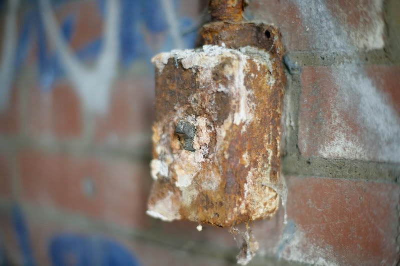 IMAGE: http://i41.photobucket.com/albums/e266/Zenandtheartofpics/UE/VA0Y9713.jpg