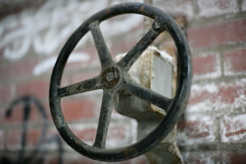 IMAGE: http://i41.photobucket.com/albums/e266/Zenandtheartofpics/UE/VA0Y9714.jpg