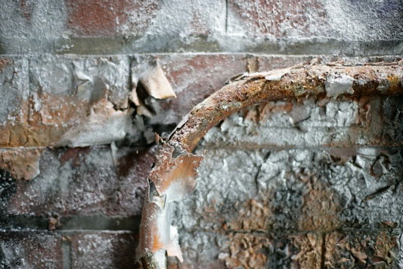 IMAGE: http://i41.photobucket.com/albums/e266/Zenandtheartofpics/UE/VA0Y9768.jpg