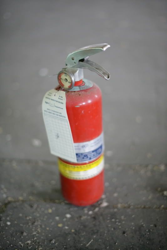 IMAGE: http://i41.photobucket.com/albums/e266/Zenandtheartofpics/UE/VA0Y9796.jpg