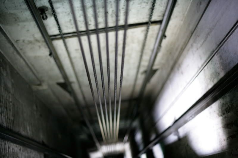 IMAGE: http://i41.photobucket.com/albums/e266/Zenandtheartofpics/UE/VA0Y9807.jpg