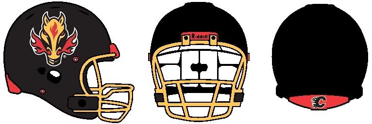 calgaryhelmet.jpg