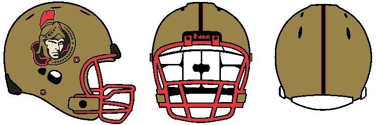 ottawahelmet.jpg