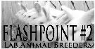 Flashpoint #2