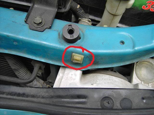 IPB Image