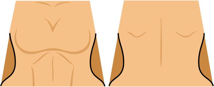 MasterFemaleTorso_zps45bc3300.jpg