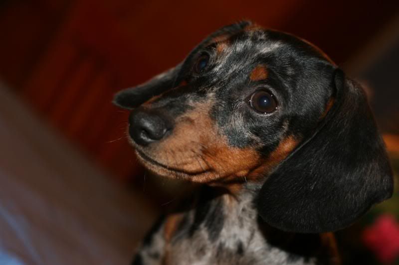 IMAGE: http://i41.photobucket.com/albums/e270/larsj53/IMG_6169.jpg