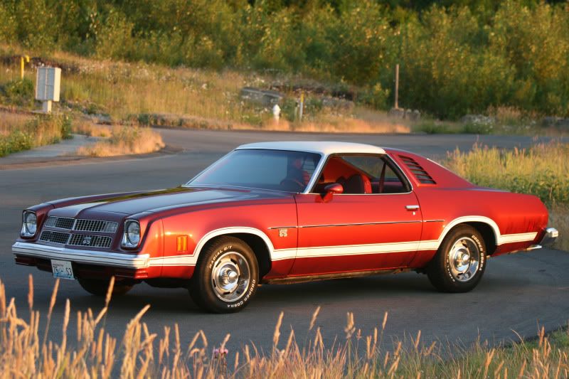 IMAGE: http://i41.photobucket.com/albums/e270/larsj53/IMG_9949.jpg