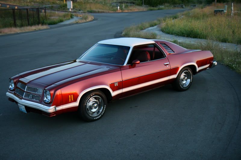 IMAGE: http://i41.photobucket.com/albums/e270/larsj53/IMG_9993.jpg