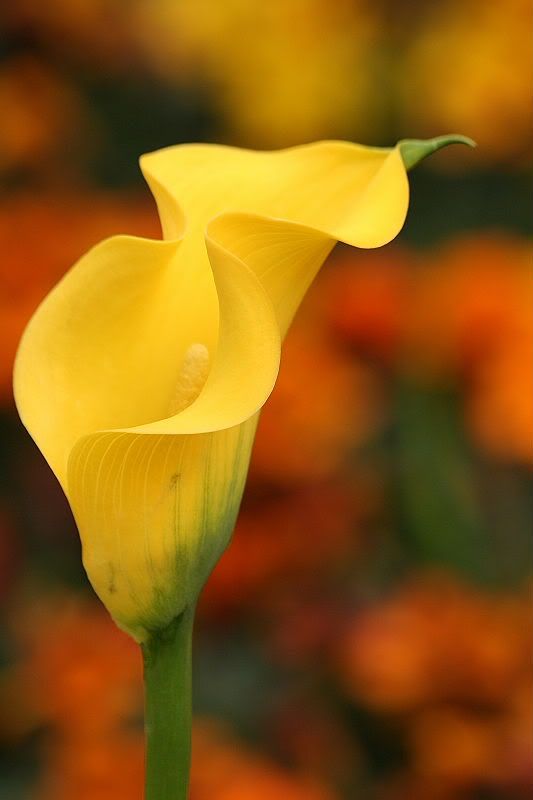 Image hosting by Photobucket