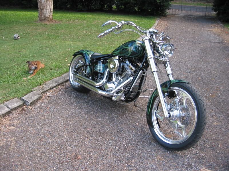 Raked Softail