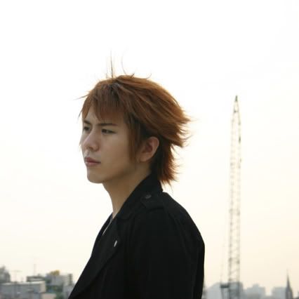 http://i41.photobucket.com/albums/e271/gatesofrain/nemesis-minhyuk02.jpg