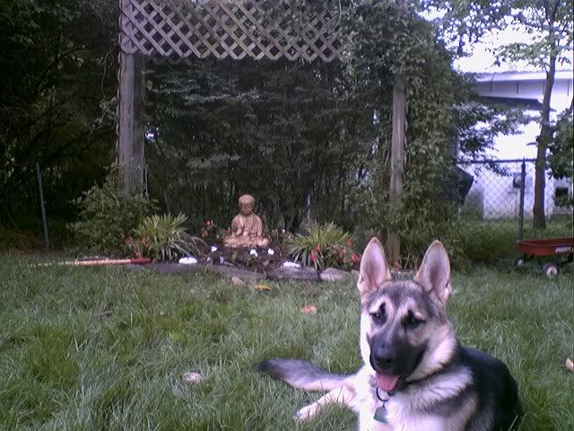 0526071625.jpg