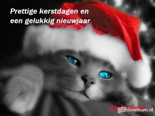 [img width=500 height=375]http://i41.photobucket.com/albums/e271/posetivo/Foto-COTS4DDK.jpg[/img]