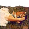 autumn_kitty_by_D.jpg