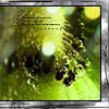 fruit_cocktail_I_by_D.jpg